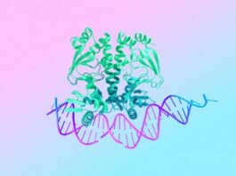 Google’s AlphaFold 3: Unlocking The Secrets Of Life’s Molecular Interactions AlphaFold 3 predicts the structure and interactions of all of life’s molecules