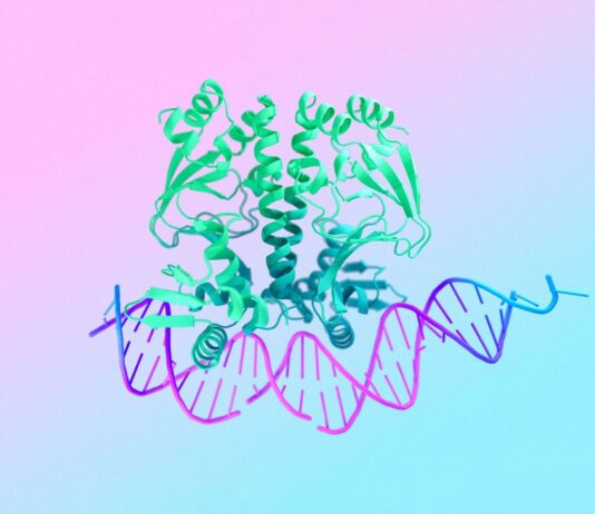Google’s AlphaFold 3: Unlocking The Secrets Of Life’s Molecular Interactions AlphaFold 3 predicts the structure and interactions of all of life’s molecules