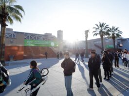 NVIDIA Professionals Reveal 5 Essential Tips for AI Job Success NVIDIA Experts Share Top 5 Tips for Standing Out in the AI Job Market