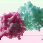 Isomorphic Labs Revolutionizes Drug Discovery Using AI Isomorphic Labs Rethinks Drug Discovery With AI