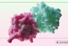 Isomorphic Labs Revolutionizes Drug Discovery Using AI Isomorphic Labs Rethinks Drug Discovery With AI