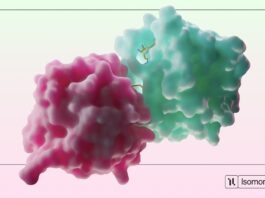 Isomorphic Labs Revolutionizes Drug Discovery Using AI Isomorphic Labs Rethinks Drug Discovery With AI