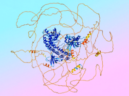 AlphaFold 3: Predicting Structures and Interactions of All Life’s Molecules How we built AlphaFold 3 to predict the structure and interaction of all of life’s molecules
