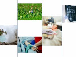 Asia-Pacific Researchers Find New Applications for AlphaFold Here’s how researchers in Asia-Pacific are using AlphaFold