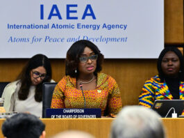IAEA Board Appoints New Chairperson for 2025 IAEA Board of Governors Elects New Chairperson for 2025