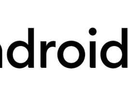 How To Know Whether Your Phone Is Compatible With Android 13? compatible with Android 13