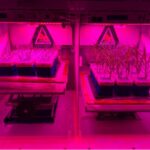 NASA Launches New Science Missions to Advance Space Exploration NASA Logo