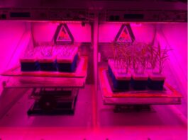 NASA Launches New Science Missions to Advance Space Exploration NASA Logo