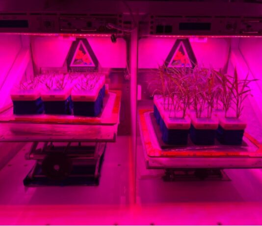 NASA Launches New Science Missions to Advance Space Exploration NASA Logo