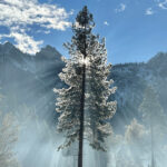 Apple Honors U.S. National Parks with Special Celebration Apple celebrates America’s national parks