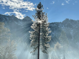 Apple Honors U.S. National Parks with Special Celebration Apple celebrates America’s national parks