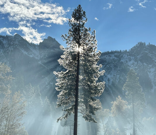 Apple Honors U.S. National Parks with Special Celebration Apple celebrates America’s national parks