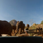 Apple Debuts Vision Pro with New Immersive Video Series and Films New Apple Immersive Video series and films premiere on Vision Pro