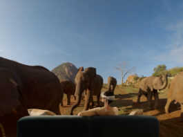 Apple Debuts Vision Pro with New Immersive Video Series and Films New Apple Immersive Video series and films premiere on Vision Pro