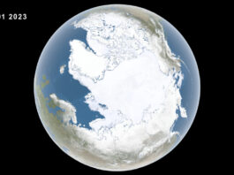 Arctic Winter Sea Ice Reaches Historic Low, Say NASA Scientists NASA, NSIDC Scientists Say Arctic Winter Sea Ice at Record Low - NASA