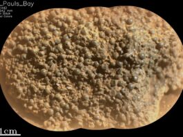 Astonishing Spherules: NASA’s Latest Scientific Discovery A closeup photo of a Martian rock shows a rough, bubbly texture that ranges in color from pale brownish-orange around the edges, to more gray-tinged orange nearer the center. Many of the bumps or bubbles are spherical, others are crushed or halved, looking like a jar of spilled gray capers, mingled with some creamy, orange-colored sauce.