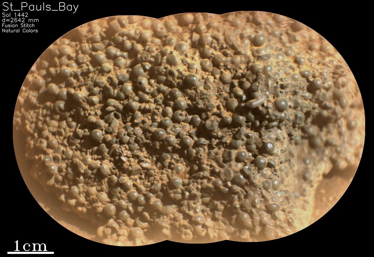 A closeup photo of a Martian rock shows a rough, bubbly texture that ranges in color from pale brownish-orange around the edges, to more gray-tinged orange nearer the center. Many of the bumps or bubbles are spherical, others are crushed or halved, looking like a jar of spilled gray capers, mingled with some creamy, orange-colored sauce.