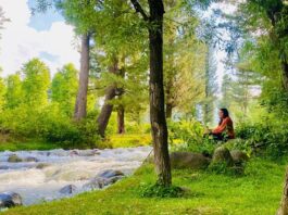 NVIDIA Engineer’s Free Day Ritual: Unplugging to Recharge How an NVIDIA Engineer Unplugs to Recharge During Free Days