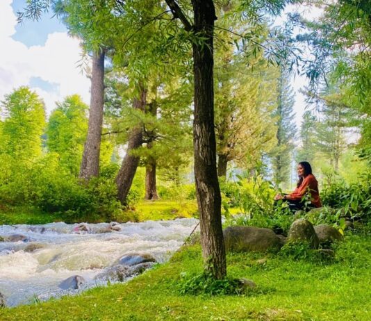 NVIDIA Engineer’s Free Day Ritual: Unplugging to Recharge How an NVIDIA Engineer Unplugs to Recharge During Free Days