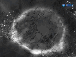 NASA Science Spotlight: Helio Updates for May 2025 A grayscale top-down image of the North Pole showing the glowing band of the Northern Lights circling the Earth
