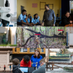 AI’s Role in Enhancing Human Success: 2024 Stories A photo collage
