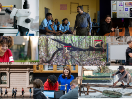 AI’s Role in Enhancing Human Success: 2024 Stories A photo collage