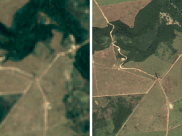 New satellite map aims to safeguard Brazil’s forests. We’re creating a new satellite imagery map to help protect Brazil’s forests.