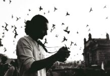 Flock Camera Charges on Car Insurance: Troubleshooting Guide blog flock camera car insurance surcharge guide 20260830