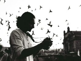 Flock Camera Charges on Car Insurance: Troubleshooting Guide blog flock camera car insurance surcharge guide 20260830