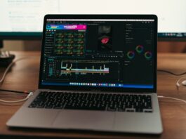 3D FlyWire Fruit Fly on macOS Desktop: Fix Common Issues blog flywire 3d fruit fly macos desktop fix 20260819