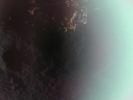 Firefly’s Blue Ghost Successfully Delivers NASA Science to Moon First image captured by Firefly