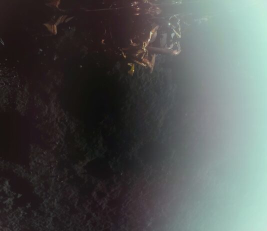 Firefly’s Blue Ghost Successfully Delivers NASA Science to Moon First image captured by Firefly