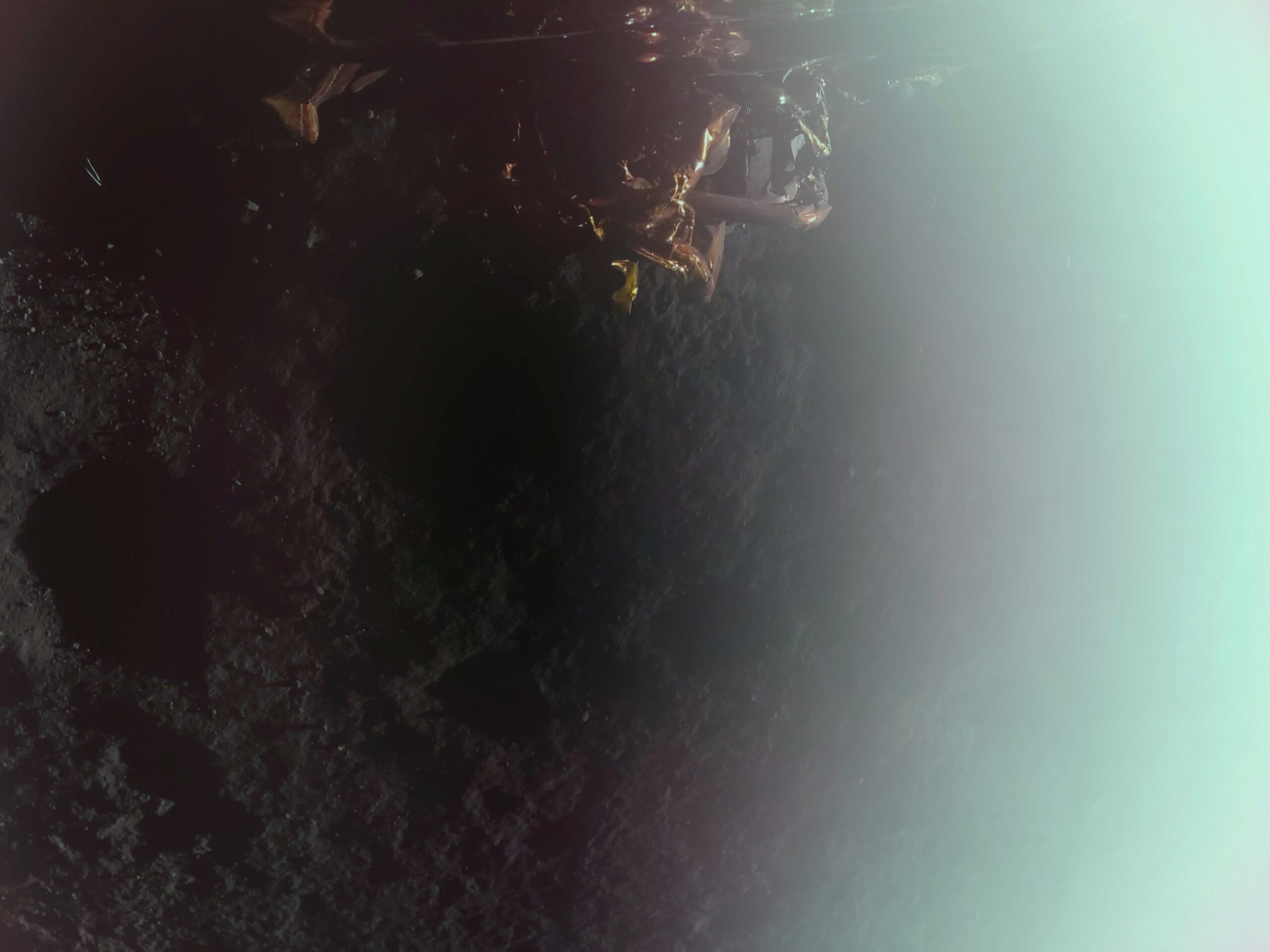 blue ghost first image 1.jpg First image captured by Firefly