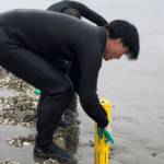Seaweed Cultivation Shows Promise for Carbon Storage, Study Finds Study Reveals Potential of Seaweed Farms as Carbon Storage Solution
