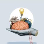 Mouse Brain Studies Shed Light on Human Mental Processes Mouse brain research is helping us better understand human minds