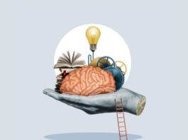 Mouse Brain Studies Shed Light on Human Mental Processes Mouse brain research is helping us better understand human minds