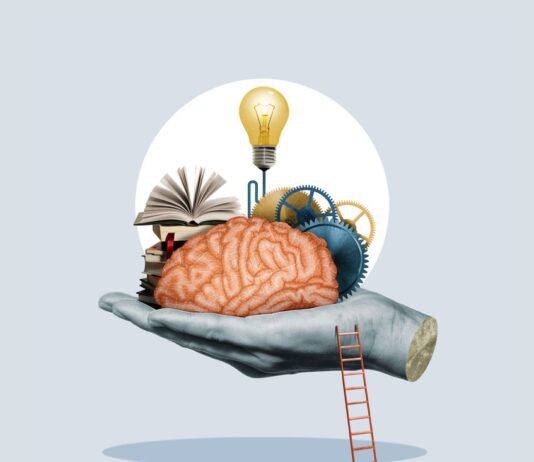 Mouse Brain Studies Shed Light on Human Mental Processes Mouse brain research is helping us better understand human minds