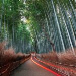 Lenovo Earns AAA in MSCI ESG Ratings for Third Year Lenovo achieves AAA Score in MSCI ESG Ratings for third consecutive year - Lenovo StoryHub