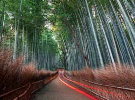 Lenovo Earns AAA in MSCI ESG Ratings for Third Year Lenovo achieves AAA Score in MSCI ESG Ratings for third consecutive year - Lenovo StoryHub