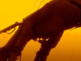 Handcrafted Pixel-Art Game Bionic Bay Launches April 17 on PS5 The making of hand-crafted pixel-art platformer Bionic Bay, out April 17 on PS5