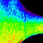 NASA’s CODEX Reveals Rare Sun’s Outer Atmosphere Images An animated image shows a large, curved area with a rainbow of colors transitioning from red to purple over the course of several seconds. Red, orange, and yellow predominate the bottom of the image when green, blue, and purple are at their lowest coverage. Conversely green, blue, and purple predominate the top of the image when red, orange, and yellow are at their lowest coverage.