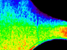 NASA’s CODEX Reveals Rare Sun’s Outer Atmosphere Images An animated image shows a large, curved area with a rainbow of colors transitioning from red to purple over the course of several seconds. Red, orange, and yellow predominate the bottom of the image when green, blue, and purple are at their lowest coverage. Conversely green, blue, and purple predominate the top of the image when red, orange, and yellow are at their lowest coverage.