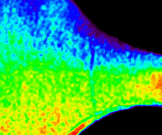 NASA’s CODEX Reveals Rare Sun’s Outer Atmosphere Images An animated image shows a large, curved area with a rainbow of colors transitioning from red to purple over the course of several seconds. Red, orange, and yellow predominate the bottom of the image when green, blue, and purple are at their lowest coverage. Conversely green, blue, and purple predominate the top of the image when red, orange, and yellow are at their lowest coverage.