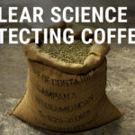 Explore Unique Ways to Redefine Your Living Space Home