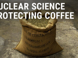 Explore Unique Ways to Redefine Your Living Space Home