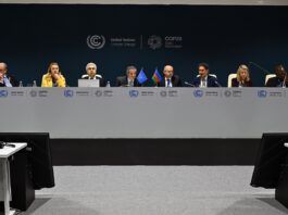 Nuclear Energy Gains Attention at COP29 for Climate Solutions Nuclear Power in the COP29 Spotlight as Countries and Companies Eye Climate Solutions