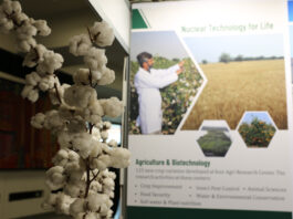 Nuclear Science’s Impact on Cotton Celebrated on World Cotton Day World Cotton Day: The Role of Nuclear Science