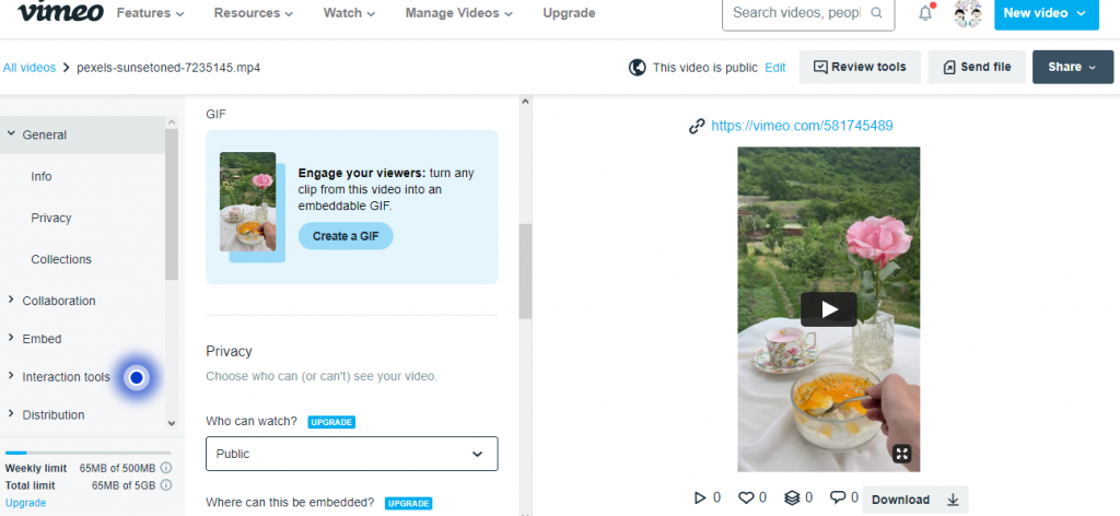 How To Make GIF From A Video On Vimeo
