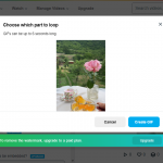 How To Make GIF From A Video On Vimeo How To Make GIF From A Video On Vimeo