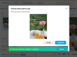 How To Make GIF From A Video On Vimeo How To Make GIF From A Video On Vimeo
